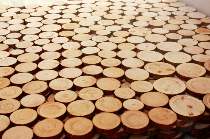 Деревянные спилы, заготовки для творчества из поперечных спилов ствола сосны