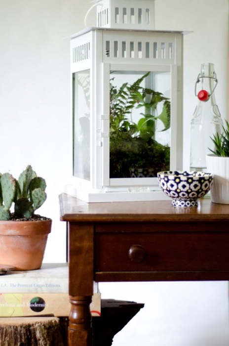 Комнатные растения в стекле являются весьма оригинальным решением для любого современного интерьера.