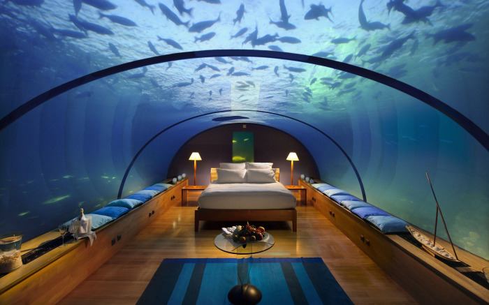 Эта роскошная двухместная кровать расположена на Мальдивах. Она чудесна! Спать на ней - словно провести ночь в большом аквариуме под названием Индийский океан.