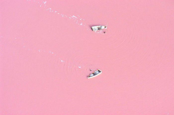 Озеро ярко розового цвета.