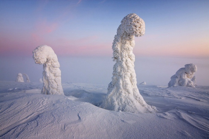 Огромные деревья, покрытые льдом и снегом.