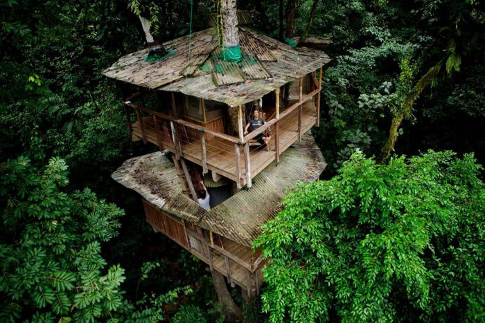 Эко-усадьба Finca Bellavista, расположенная на деревьях в тропическом лесу Коста Рики.