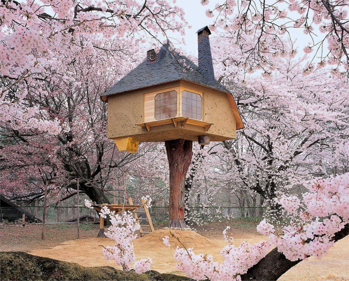 Чайный домик на дереве Тетсу (Tetsu) в городе Хокуто в Японии.