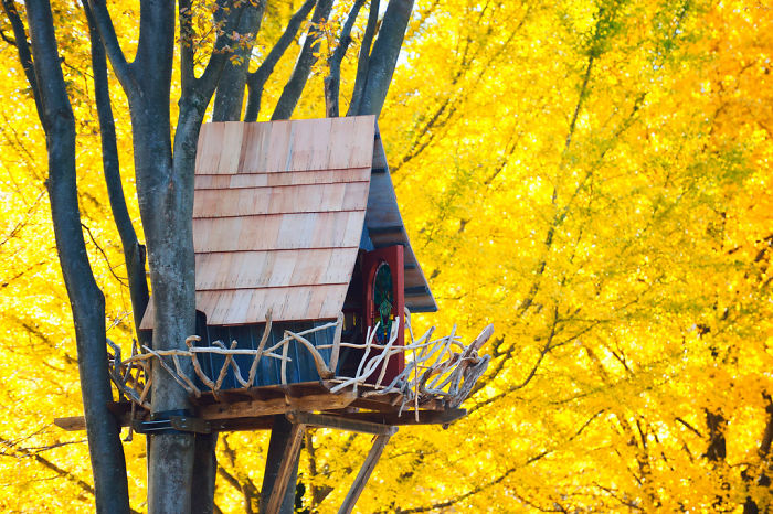 Японский домик на дереве в Токио.