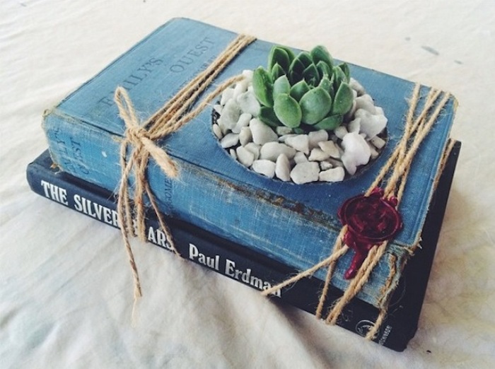 Жизни книги и растения.
