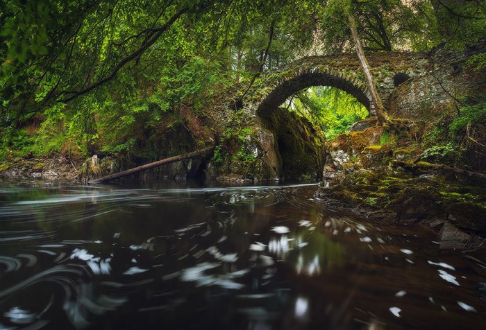 Небольшой мостик в Шотландском парке.