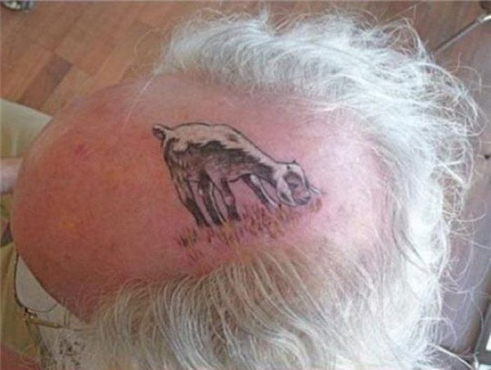 Нарисованная овечка на лысеющей голове мужчины.