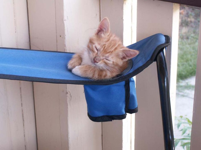 Раскладное кресло может стать удобным местом для сна.