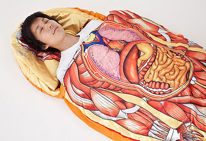 Замечательный спальный мешок, по которому можно изучать анатомию.