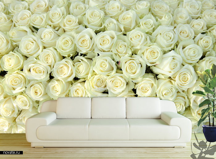 Фотообои с белыми розами