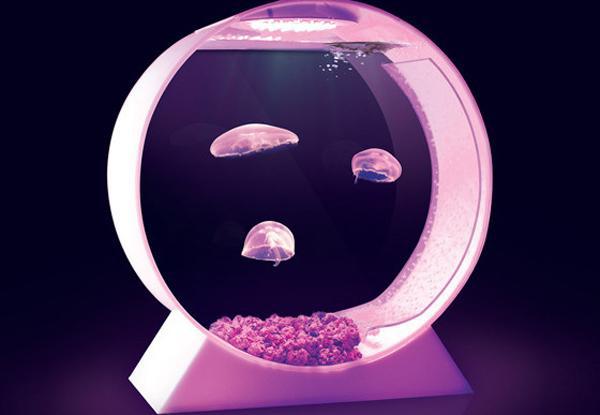 LED Desktop Jellyfish Tank: медузы в интерьере.