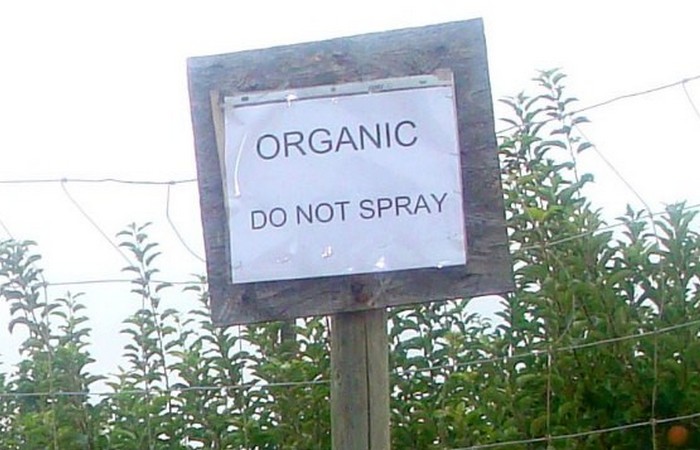 Гарантировать USDA Organic -это смешно.