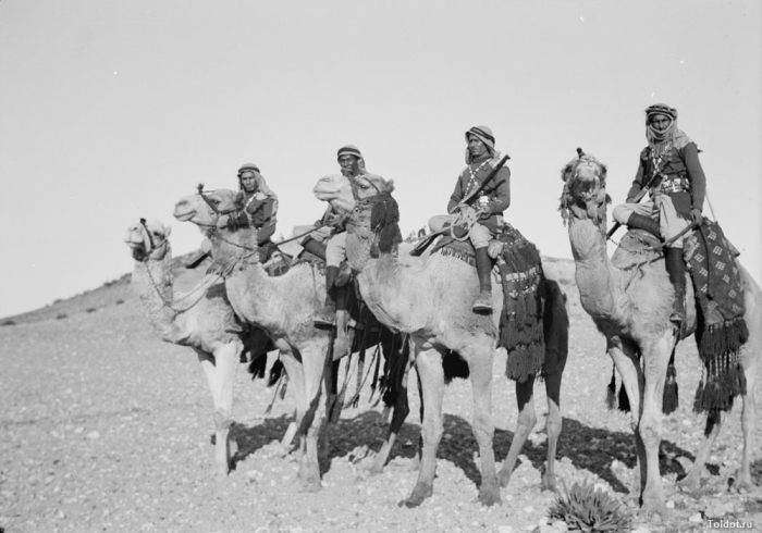 Кавалеристы Арабского легиона времен Второй мировой войны. |Фото: toldot.com.