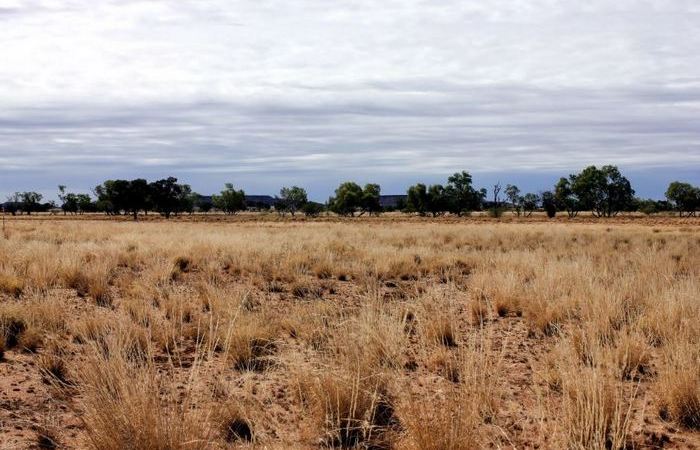 Прерии - не сельскохозяйственный регион.