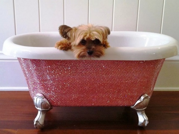 Алмазная ванна для щенков.
