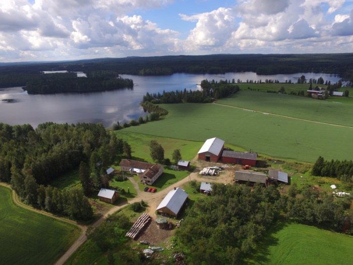 Зато в Финляндии много мелких ферм. |Фото: ardexpert.ru.