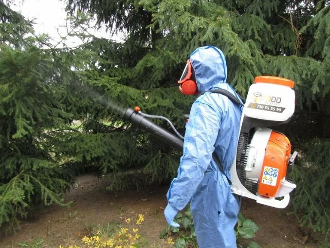 Обрабатывать конечно нужно. /Фото: ya.ru.