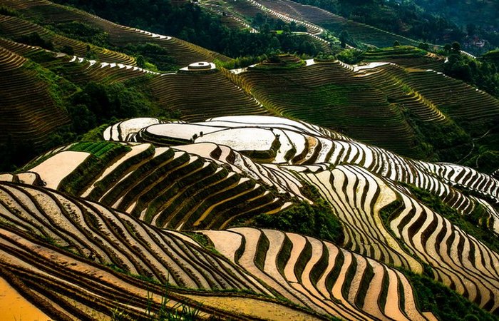 На самом деле много людей не только в Китае.