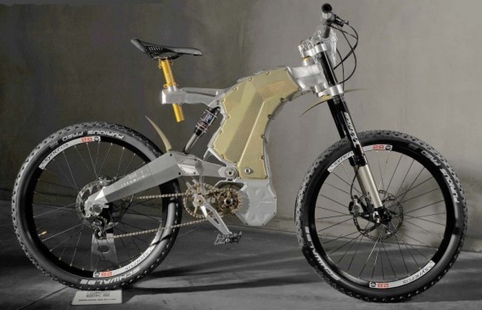 Terminus e-Bike Royal Edition.