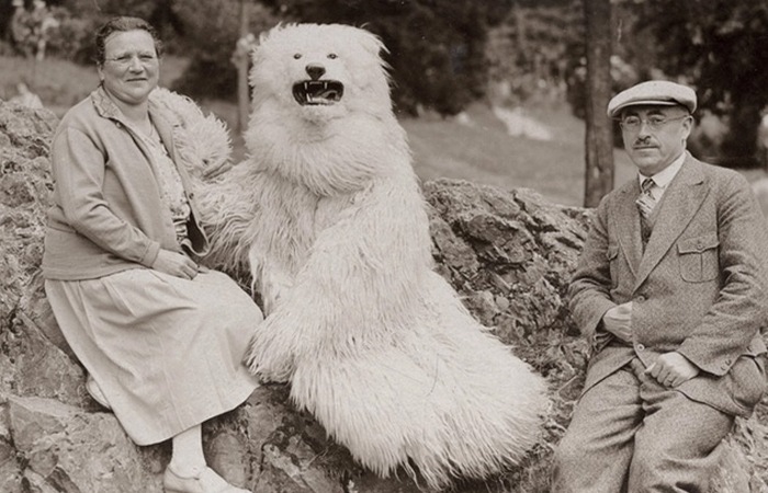 Фотографии с медведем.