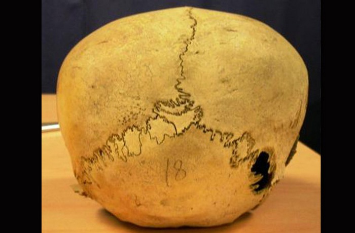 Перуанские черепа во Флориде.