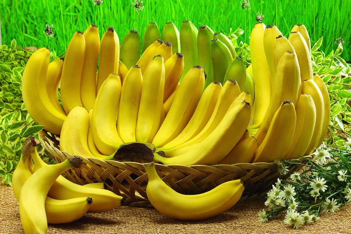 Хочешь родить мальчика — ешь бананы.