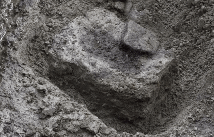 Загадочные следы стоп: отпечатки на острове Калверт в Британской Колумбии.