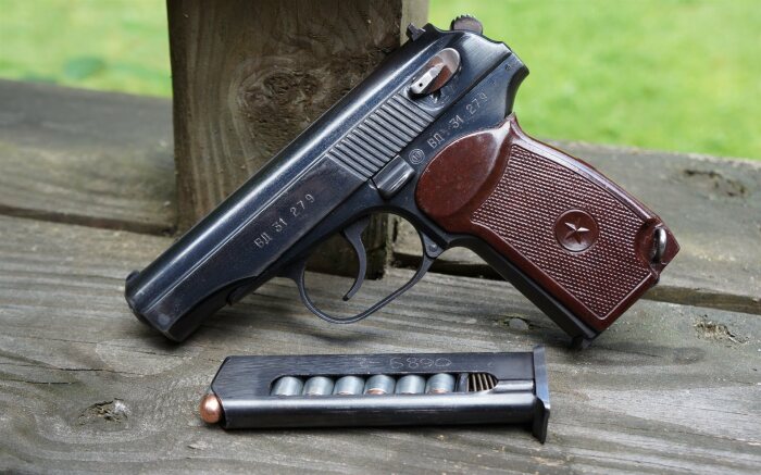 Пистолет - отличный. |Фото: discover24.ru.