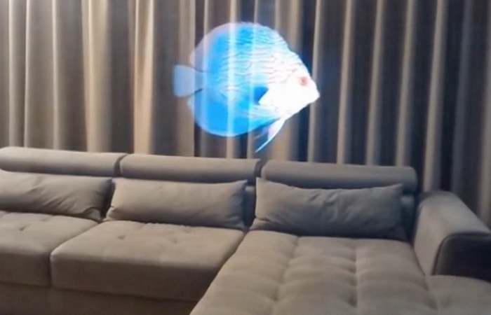 HoloVit - небольшая пластинка с сквозным, прозрачным остекленным экраном.