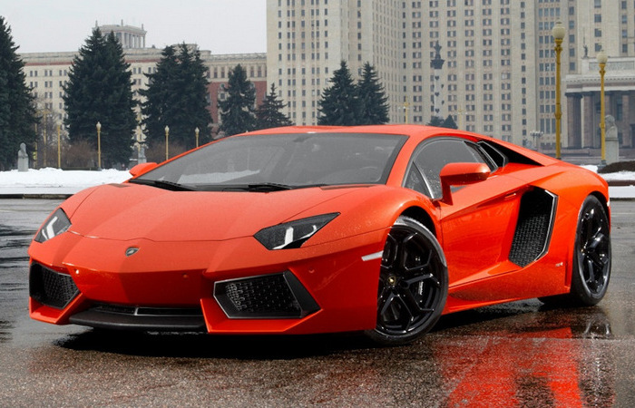 Редкая птица. Редкая птица.