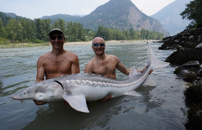 Самая большая рыба США. Самая большая рыба США.