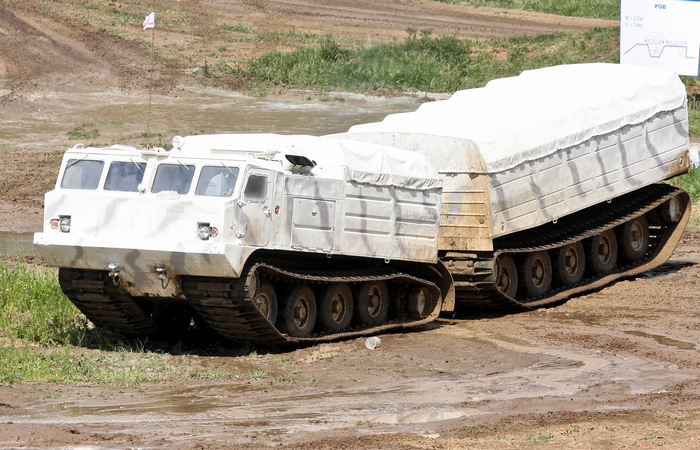 Сначала были ДТ-10 и ДТ-20. Сначала были ДТ-10 и ДТ-20.