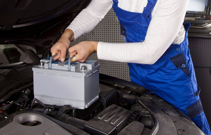 Но очень не любят жару.