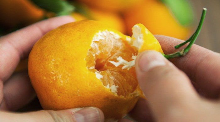 Как правильно выбирать мандарины на праздники, чтобы было и вкусно, и сладко