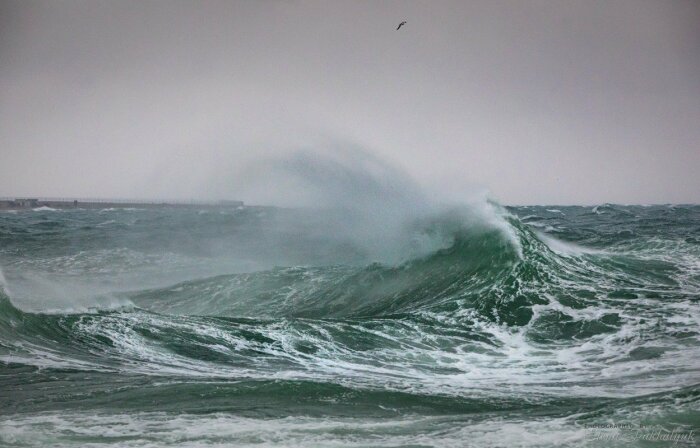 Черное море не такое уж гостеприимное. /Фото: stranabolgariya.ru.