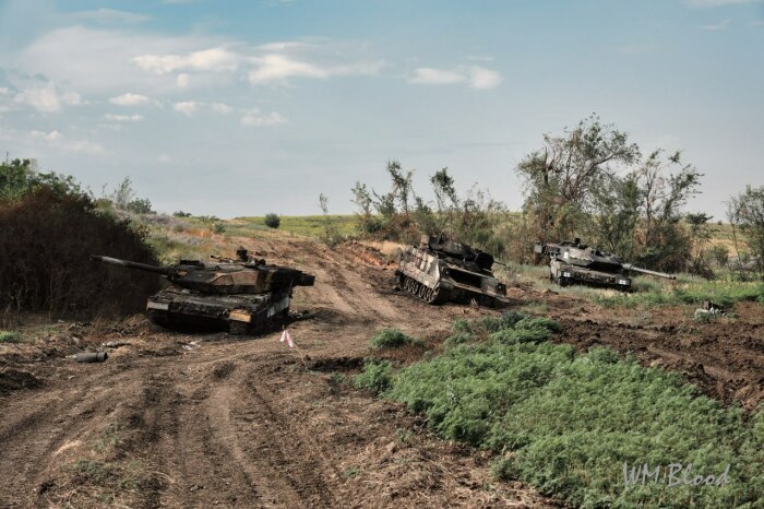 Леопарды используются 13 странами Европы, а сегодня участвуют в конфликте в Украине. |Фото: dnepr-news.ru.