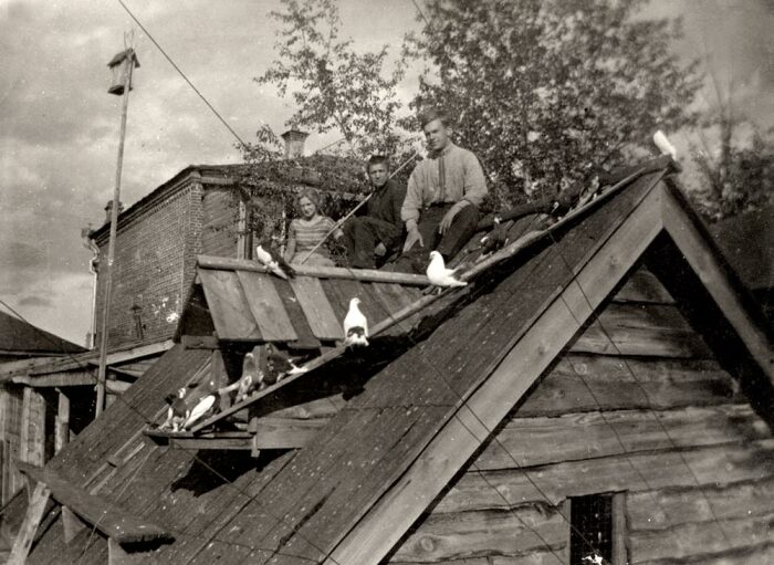 К 1980 годам голубятни стали всесоюзным хобби. ¦Фото: polzam.ru.