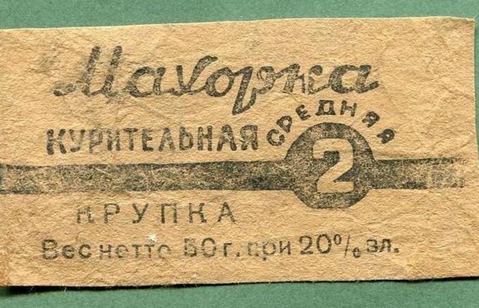 Выращивают в разных странах. /Фото: aloidak.ru. Выращивают в разных странах. /Фото: aloidak.ru.