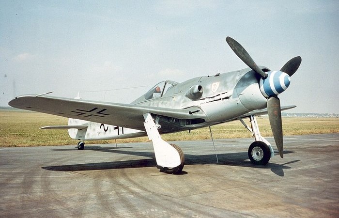 Грозный стервятник. /Фото: en.wikipedia.org. Грозный стервятник. /Фото: en.wikipedia.org.