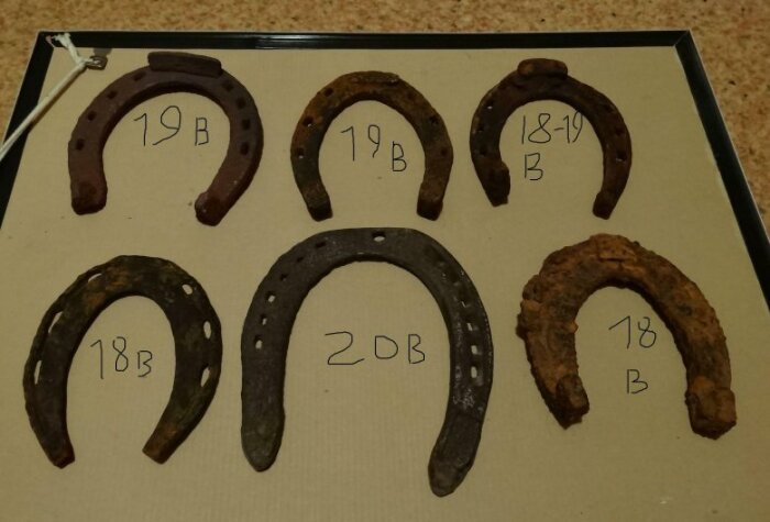 Привычная современному человеку подкова появилась лишь в IX-X веке. /Фото: southklad.ru. Привычная современному человеку подкова появилась лишь в IX-X веке. /Фото: southklad.ru.