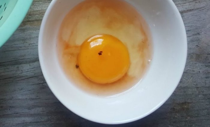 Кровь и сгустки в курином яйце: почему и можно ли его есть?