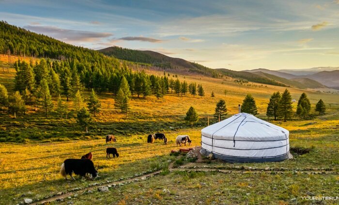 Монголия только кажется милым местом... |Фото: sportishka.com.