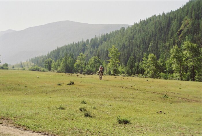 На севере региона лесов хватает. |Фото: club.foto.ru.