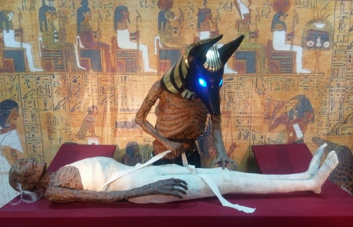 Тайны египетских мумий.