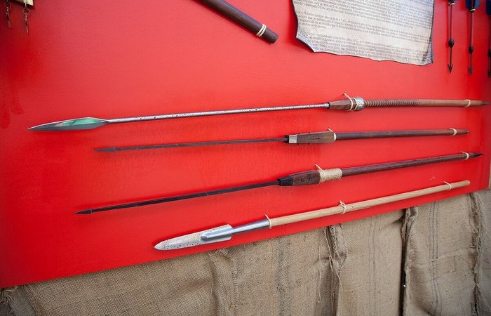 Яркий пример ситуации с пилумами. Всё это – один вид оружия. Казалось бы. /Фото: wikimedia.org. 