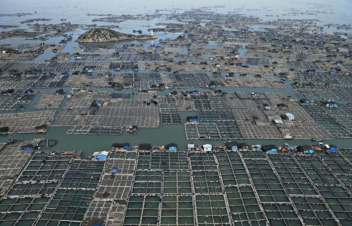 У Китая древние традиции в аквакультуре. /Фото: travelask.ru. У Китая древние традиции в аквакультуре. /Фото: travelask.ru.