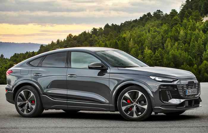 Настоящий немецкий красавец!