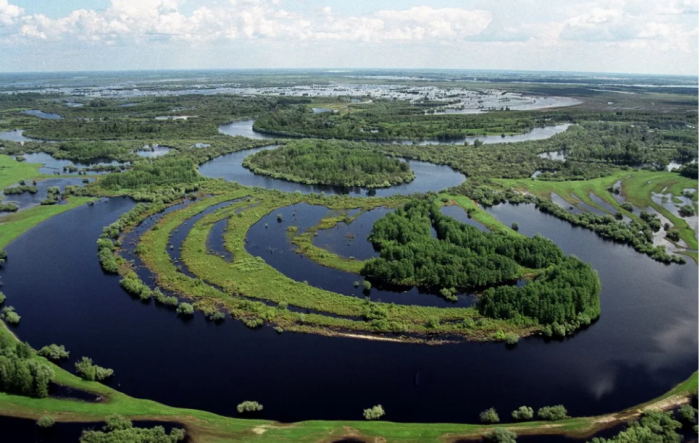 Васюганские болота: какие секреты скрывает огромная древняя топь на севере России 