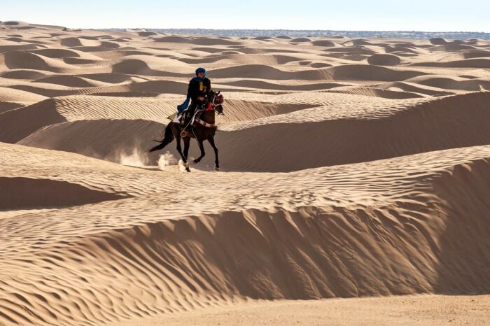 Песка в пустыне много. |Фото: vsegda-pomnim.com.