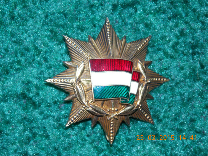 Венгерский орден. |Фото: postimg.cc.